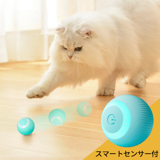スマートキャットボールを販売開始しました。