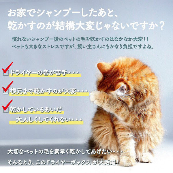 自動ドライヤーボックス