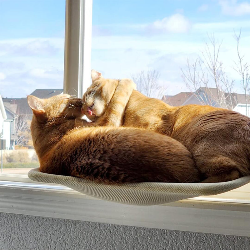 穴あけ不要!どこでも窓猫ハンモック