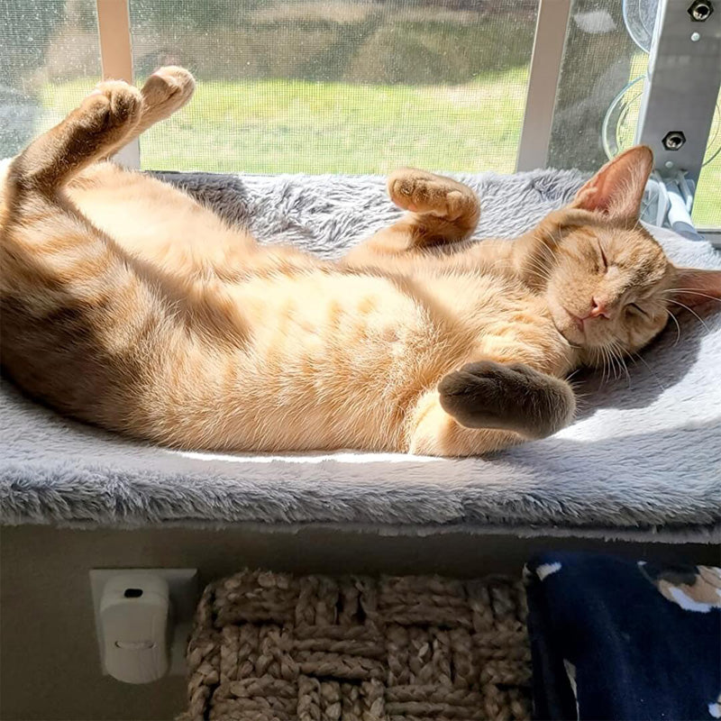 穴あけ不要!どこでも窓猫ハンモック