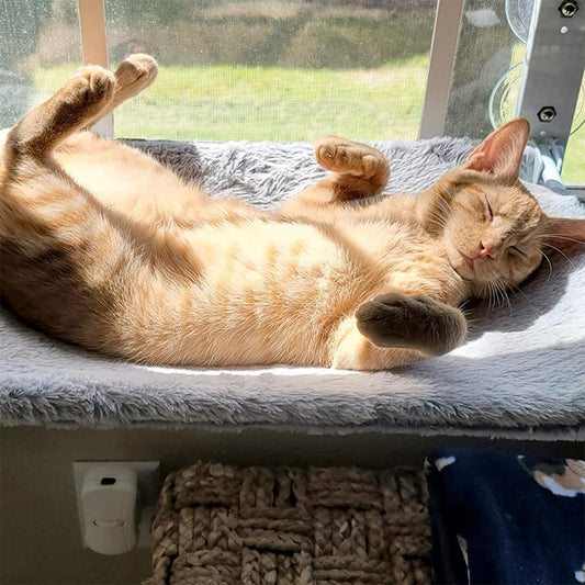 穴あけ不要!どこでも窓猫ハンモック