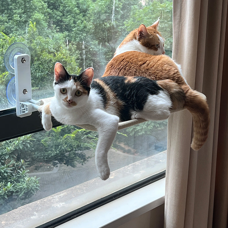 穴あけ不要!どこでも窓猫ハンモック