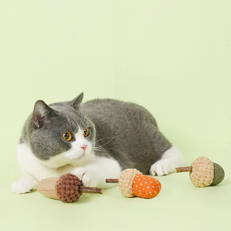 興味を惹くデザイン;可愛い形とカラーは猫ちゃんの注意を引きつけ、またたびとキャットニップの香りが漂います。