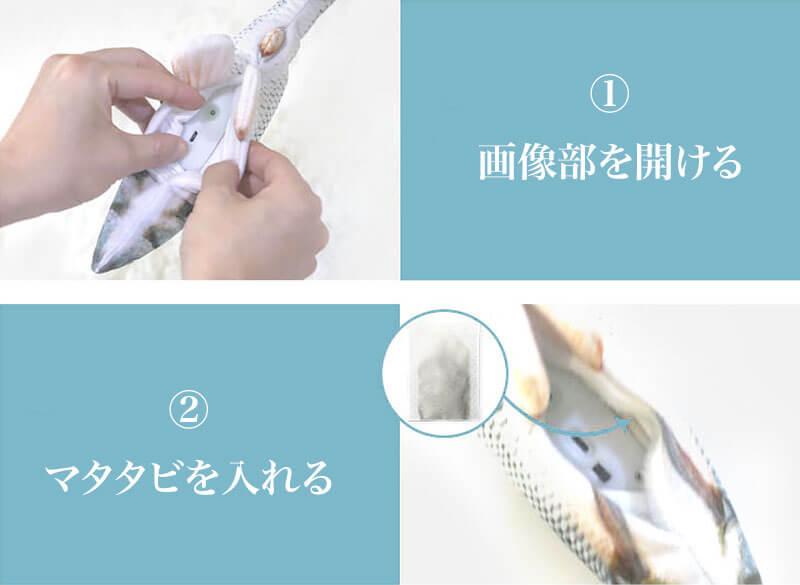 ダンシングフィッシュ