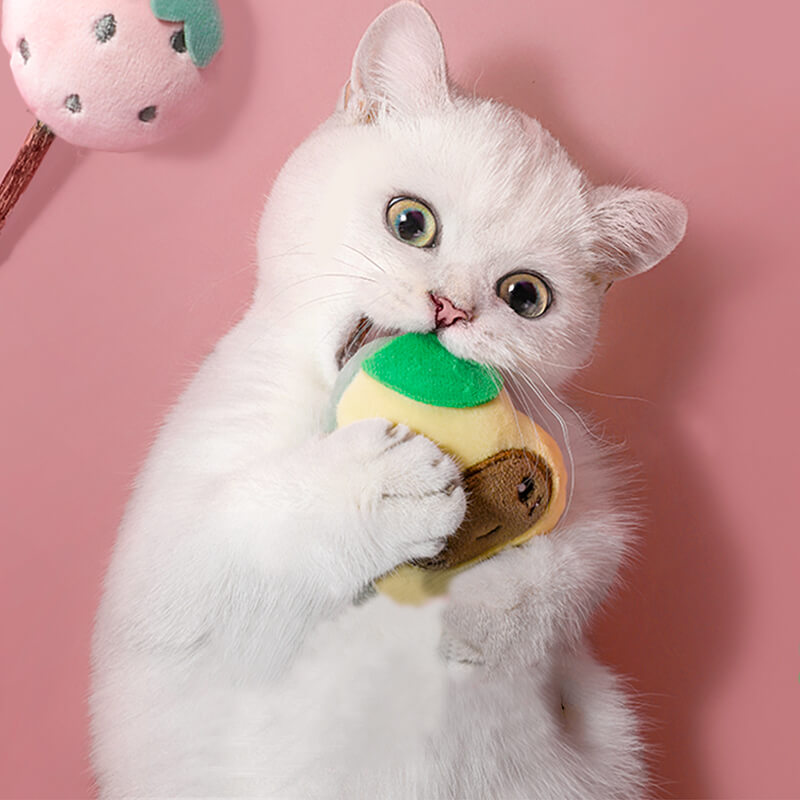 いつも一緒 アボカドちゃん;おもちゃで遊びながら健康に