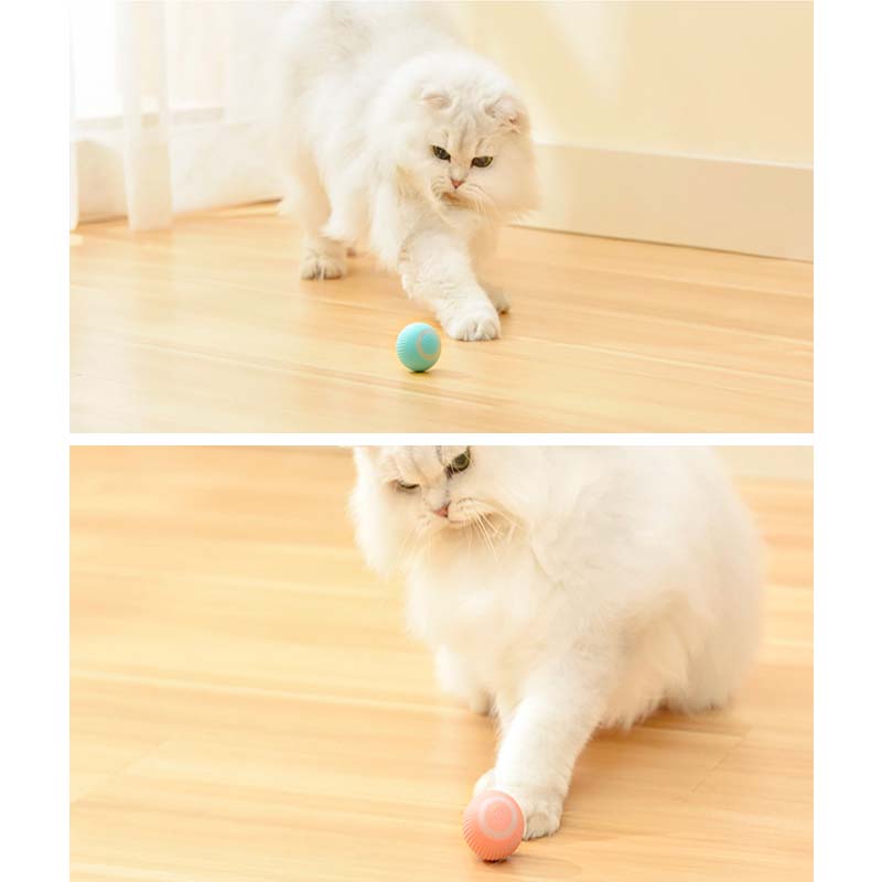 スマートキャットボール
