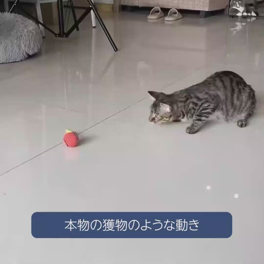 カーペットOK! 猫 おもちゃ 電動ボール 運動不足解消 | MEAO