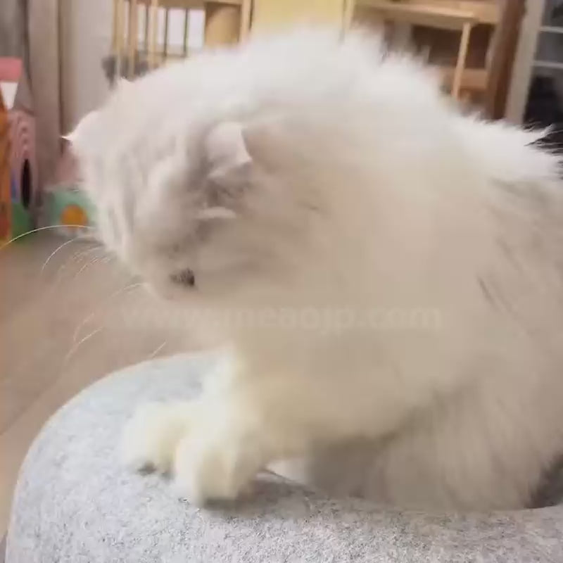いないないばあ！ 猫用 トンネル ベッド – MEAO