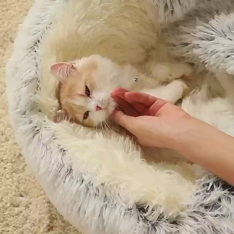 ふわふわもふもふ ふわふわもふもふベッド – MEAO