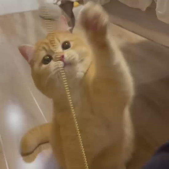 コミュニケーションに;猫ちゃんにとって遊ぶことは大切なコミュニケーション。信頼関係の構築に繋がります。