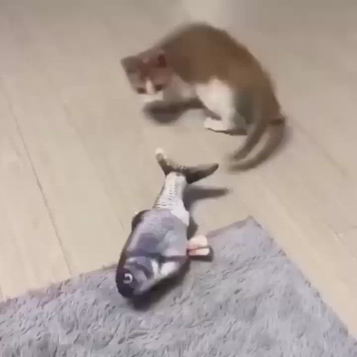 レッツダンス！;ダンシング猫ちゃん