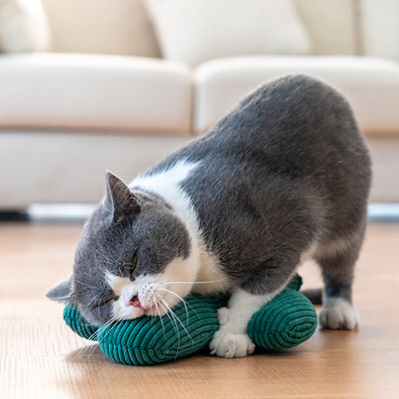 ストレス解消&安眠効果;キャットニップの香りは猫ちゃんのストレスを解消してくれます。ぬいぐるみを抱きしめて眠ることで安心して安眠できます。