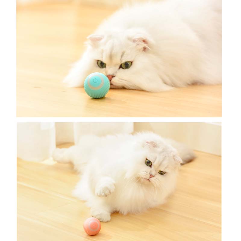 スマートキャットボール